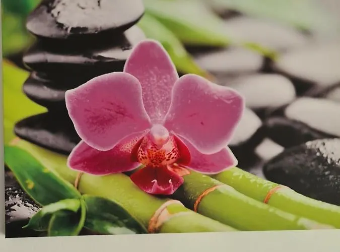 Semesterbostad Zseki Hajdúszoboszló